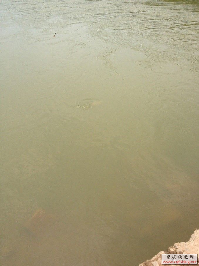 QQͼƬ20130805230532.jpg