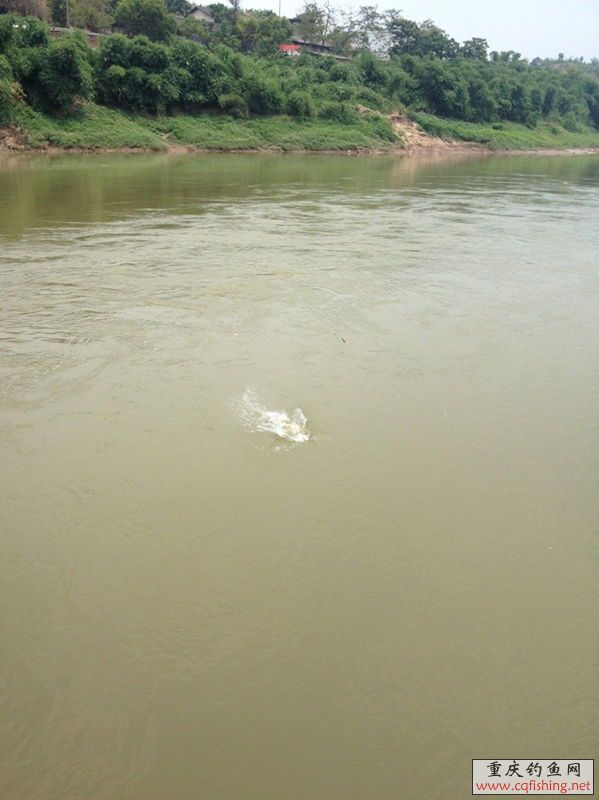 QQͼƬ20130805230540.jpg