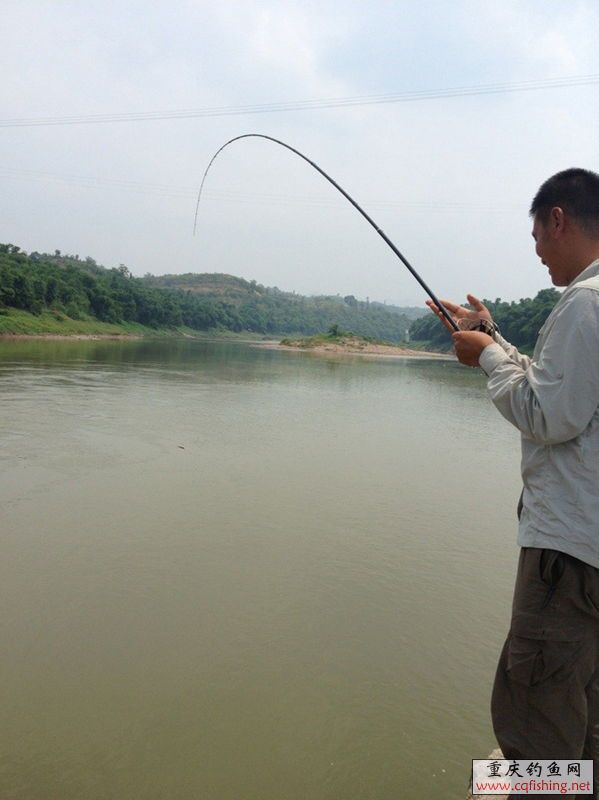 QQͼƬ20130805230456.jpg
