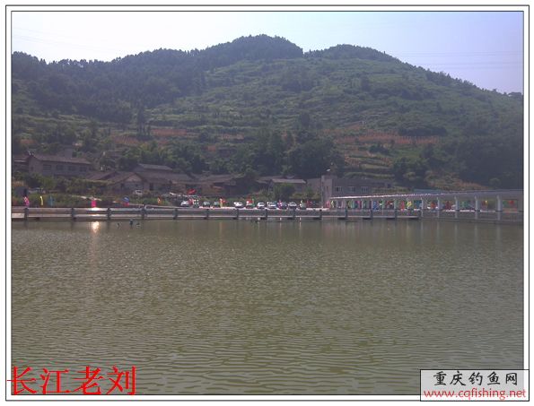 IMG_20130818_112056.jpg