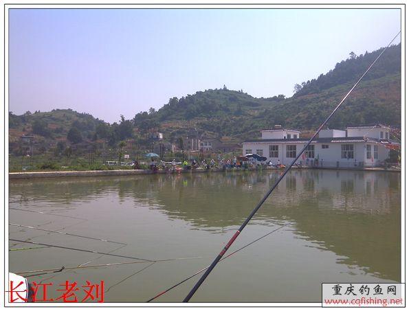 IMG_20130818_112653.jpg