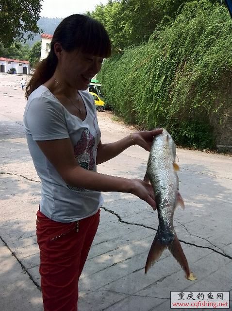 image_1377041853594.jpg