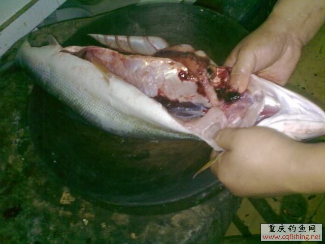 20130820599.jpg
