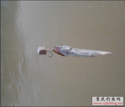 3..jpg