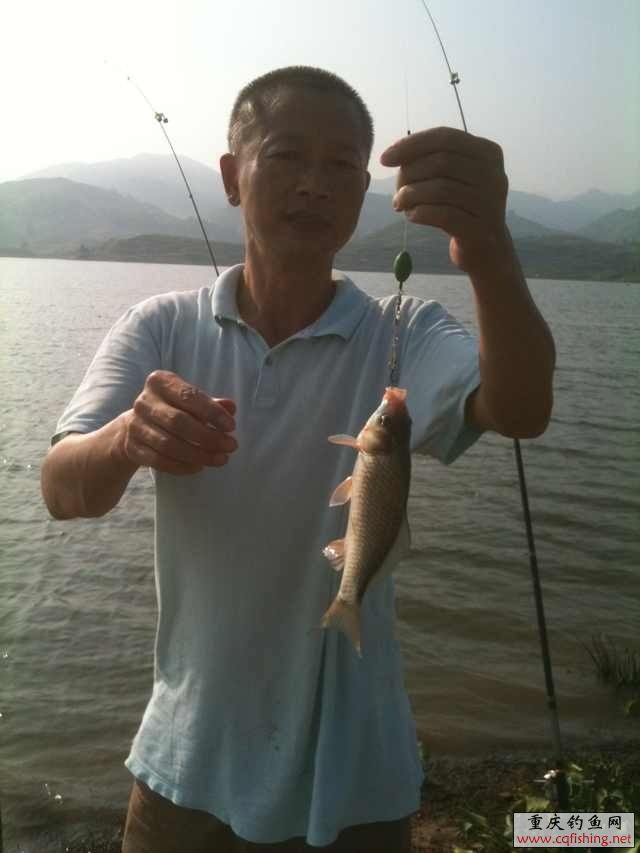 150653pvs4e8j6zz45mcey.jpg