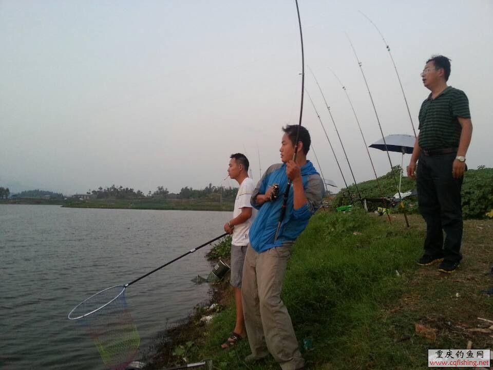 150814rc5uu0p67zxup0tm.jpg