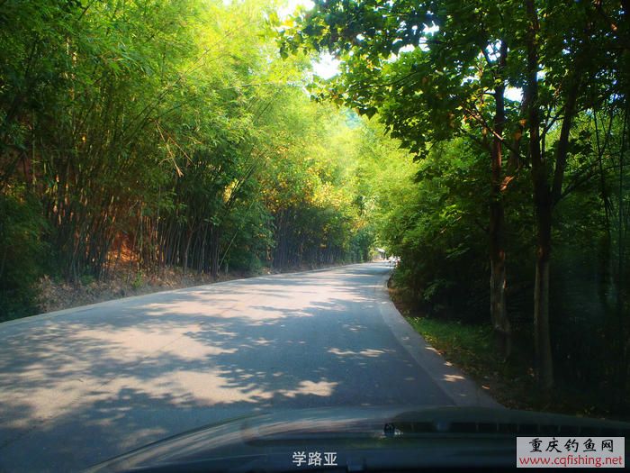 P7270045.JPG