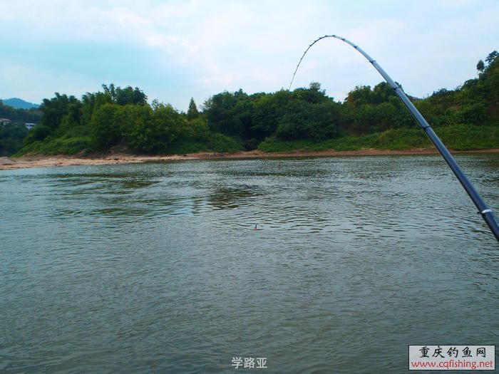 P8250411.JPG