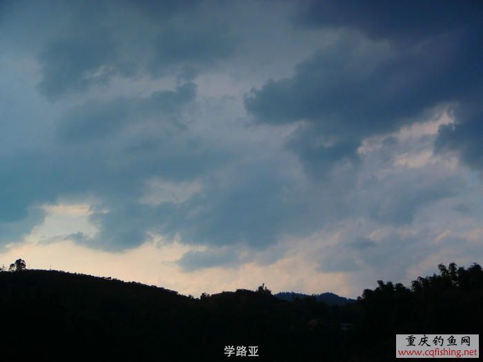 P8250423.JPG