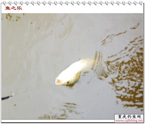 nEO_IMG_IMG_5278.jpg