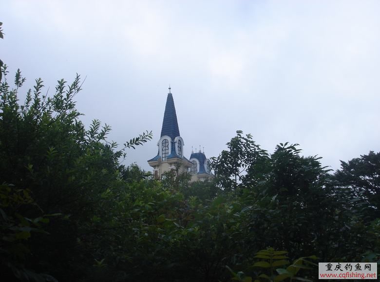 DSC07110.JPG