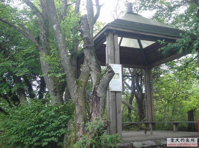 DSC07126.JPG