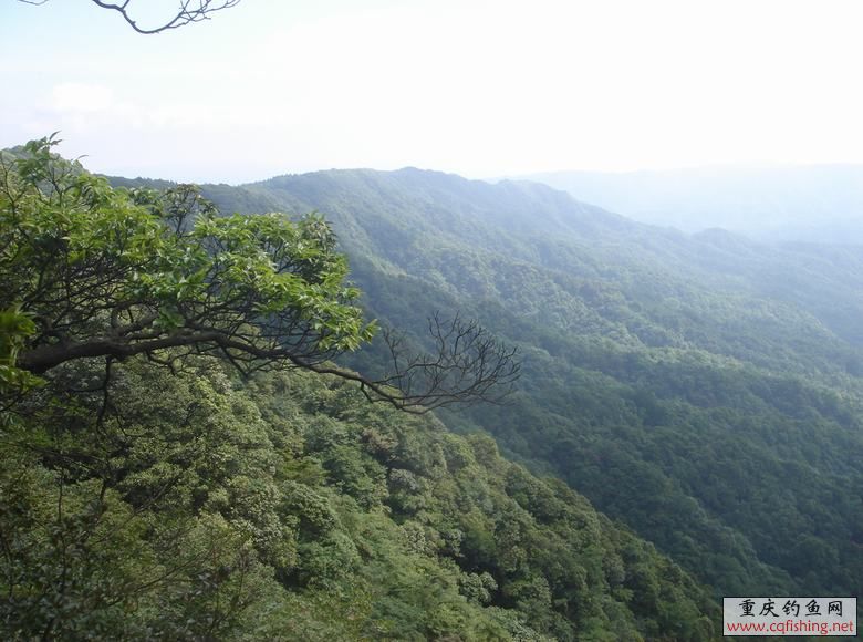 DSC07134.JPG