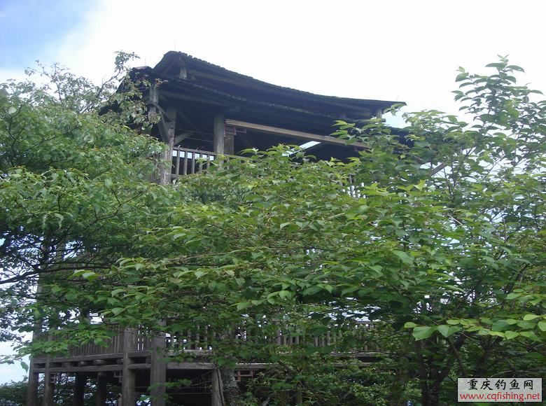 DSC07147.JPG