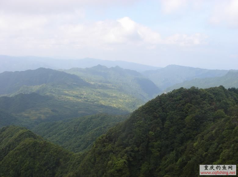 DSC07154.JPG