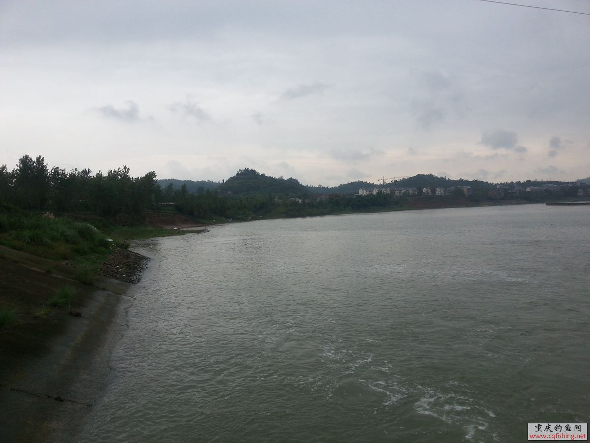 20130903_123222_.jpg