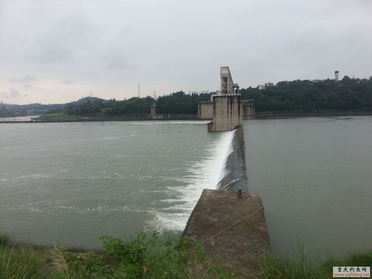 20130903_123042_.jpg