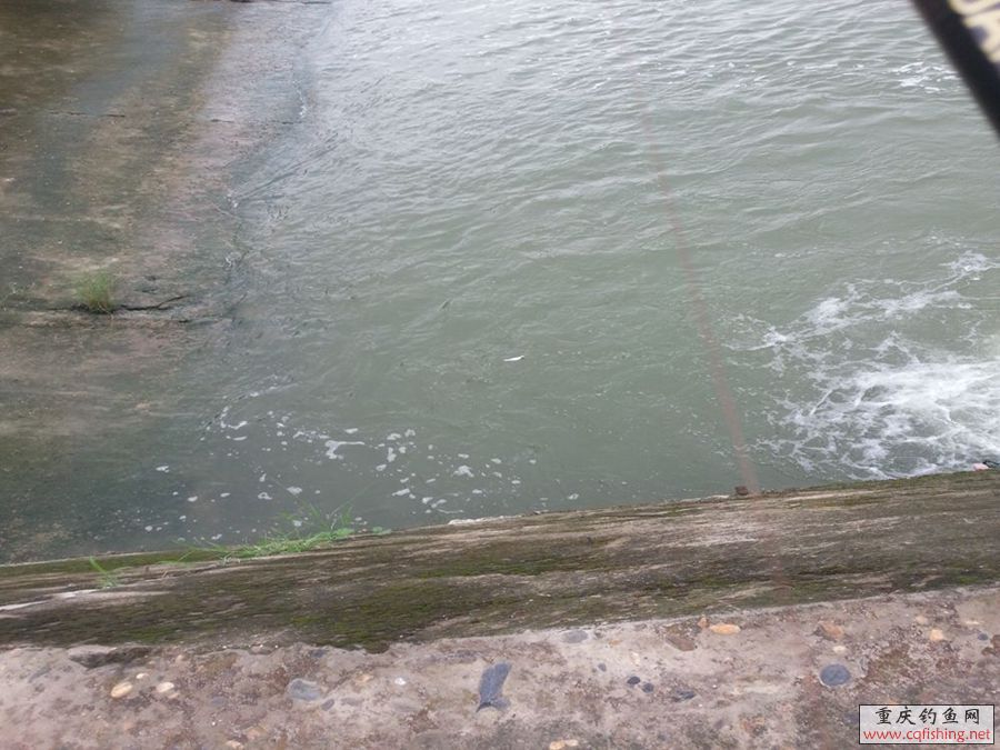20130903_134319_.jpg