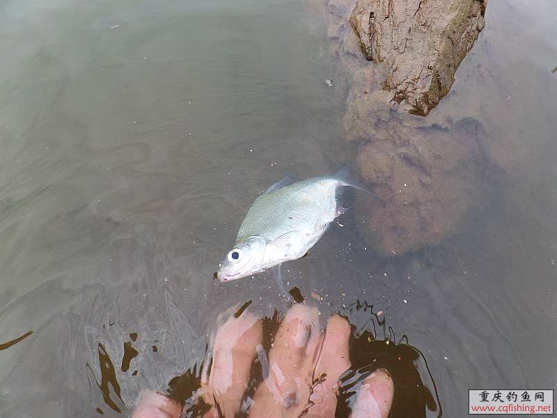 62.jpg