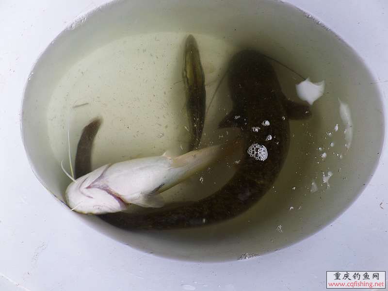 90.jpg