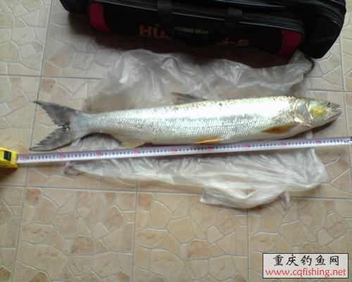 P200813_09.32[01].JPG