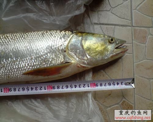 P200813_09.33[01].JPG