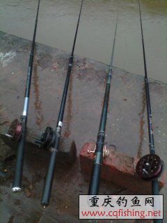 YP20130905125134.jpeg