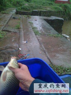 YP20130905175224.jpeg