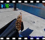 IMG_20130903_143412.jpg
