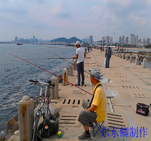 IMG_20130905_114533.jpg