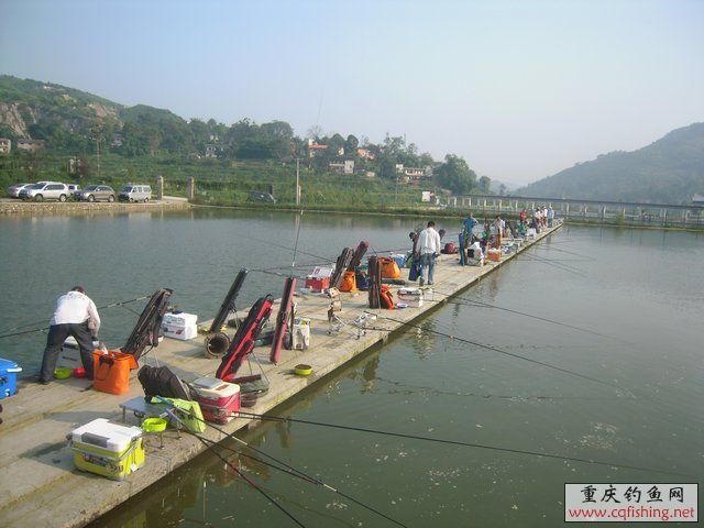 DSCN8365.JPG