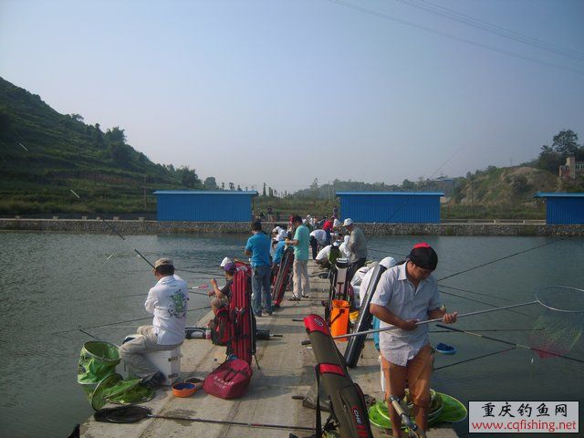 DSCN8371.JPG