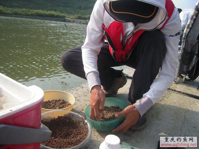 DSCN8373.JPG