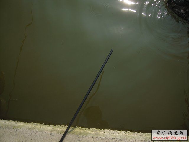 DSCN8383.JPG