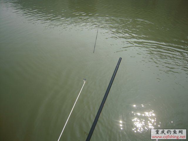 DSCN8384.JPG