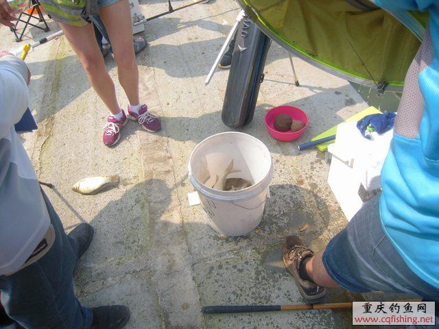 DSCN8388.JPG