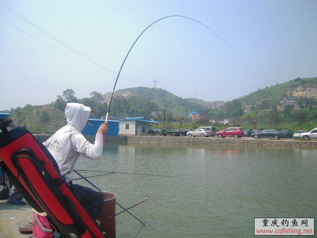 DSCN8393.JPG