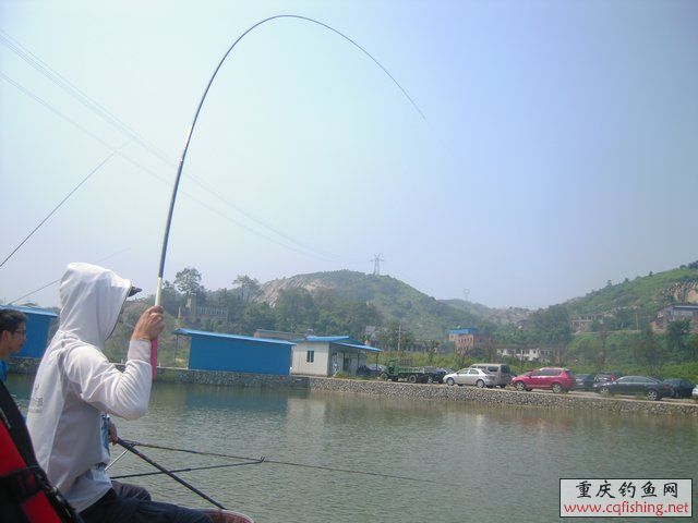 DSCN8394.JPG