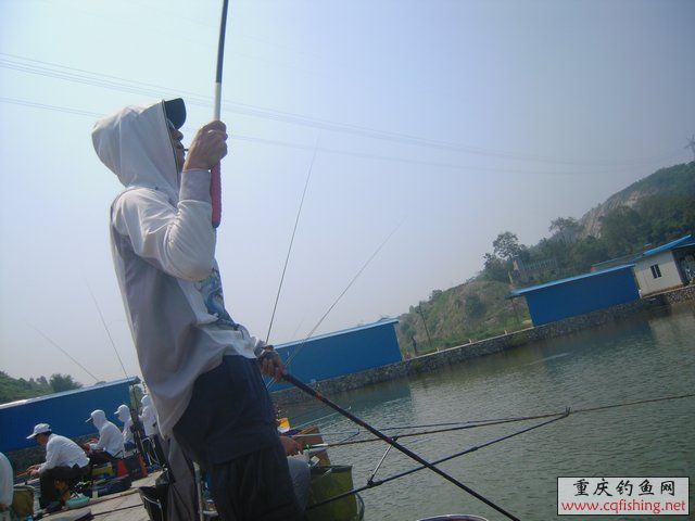 DSCN8395.JPG