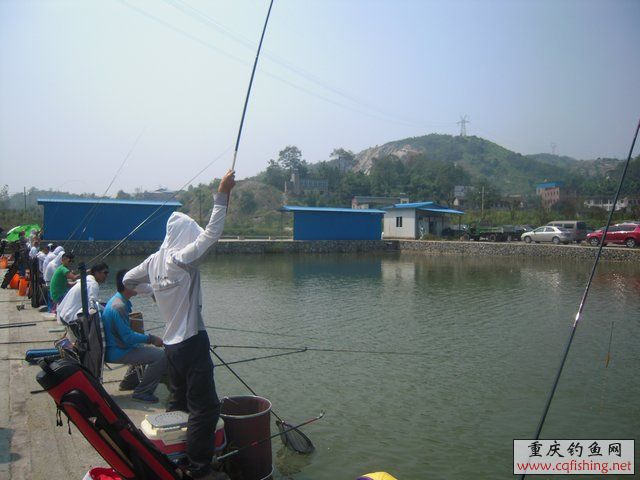 DSCN8396.JPG
