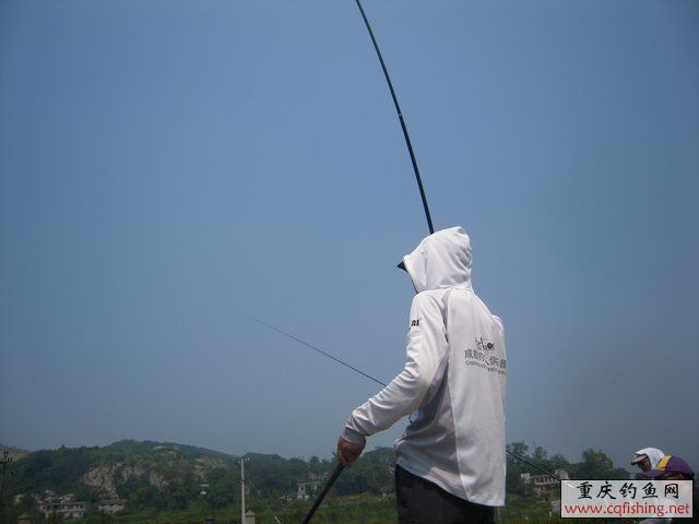 DSCN8397.JPG