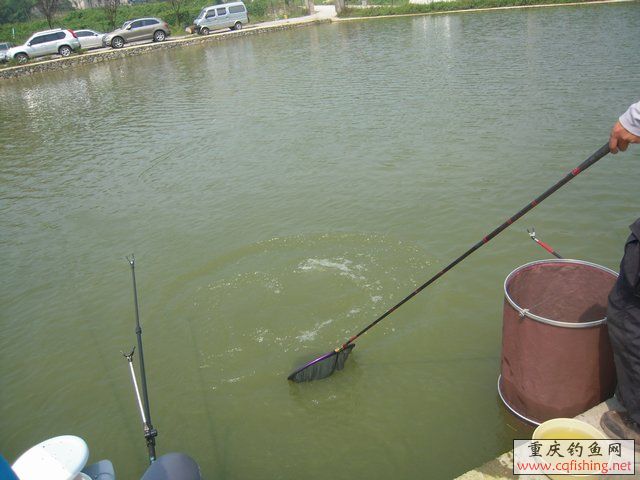 DSCN8398.JPG