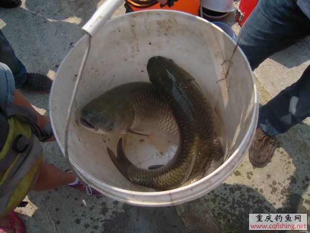DSCN8405.JPG