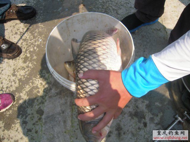 DSCN8410.JPG