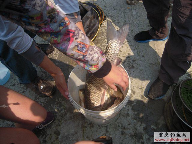 DSCN8411.JPG