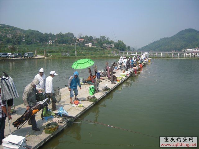 DSCN8416.JPG
