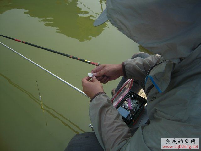 DSCN8428.JPG