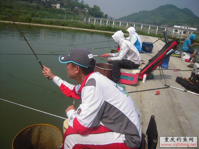 DSCN8430.JPG