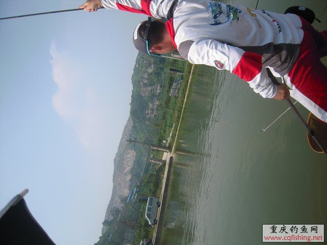 DSCN8431.JPG