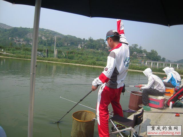 DSCN8434.JPG
